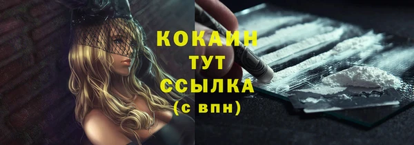 стаф Пересвет