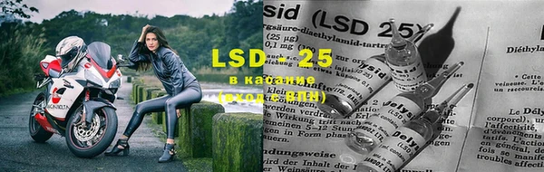 прущие крисы Балахна