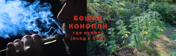 прущие крисы Балахна