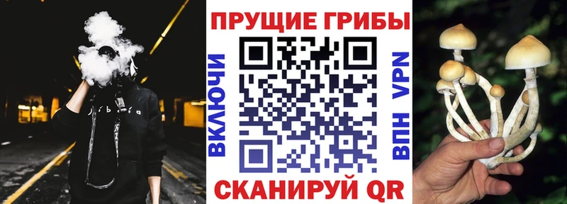 Галлюциногенные грибы ЛСД  Венёв 